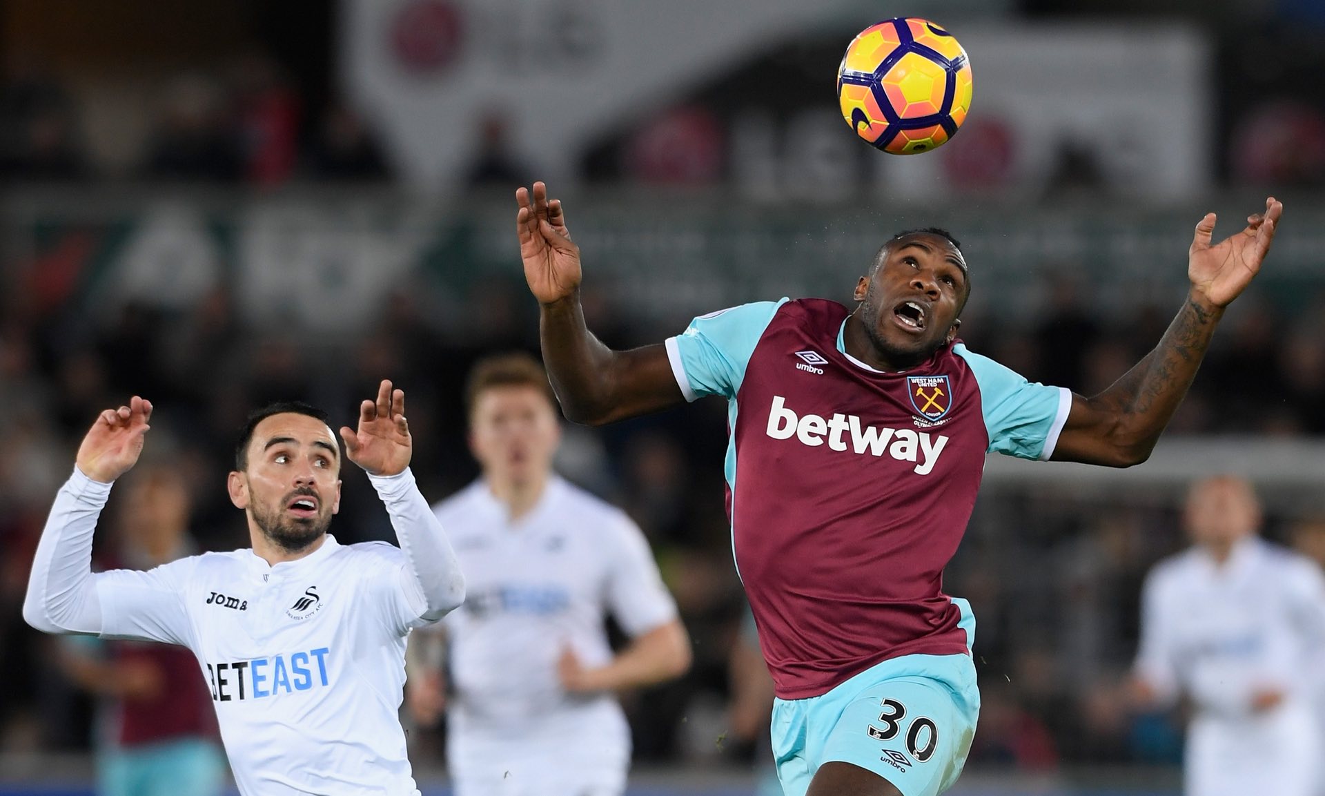 弗拉霍维奇 弗拉霍维奇