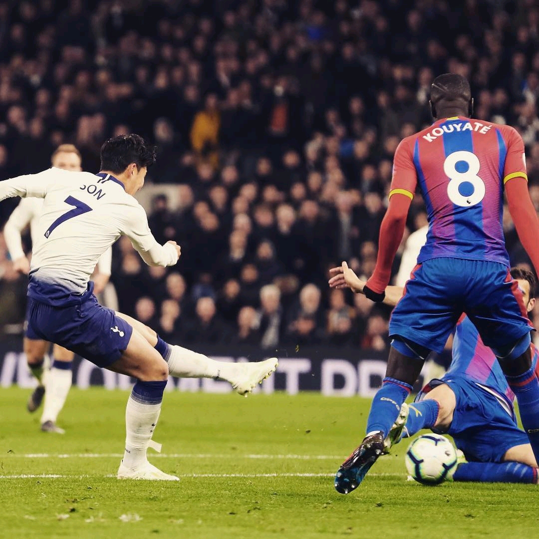 棉籽质量优 棉籽质量优